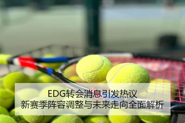 EDG转会消息引发热议 新赛季阵容调整与未来走向全面解析
